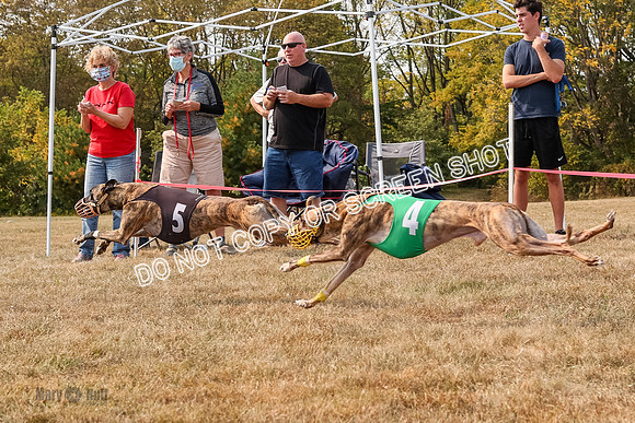 AE4I5828  Joplin, Jigsaw, Rum, Thunder, Maxx, Gibbs