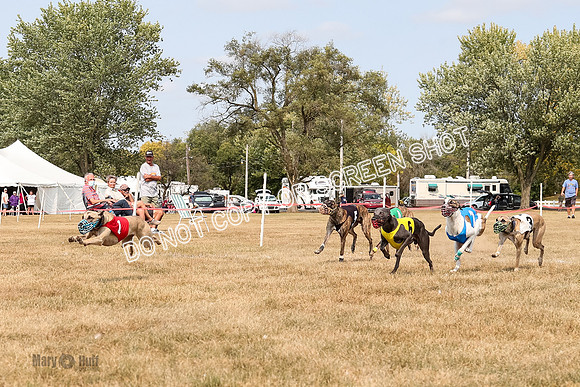 AE4I5815  Joplin, Jigsaw, Rum, Thunder, Maxx, Gibbs