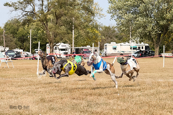 AE4I5816  Joplin, Jigsaw, Rum, Thunder, Maxx, Gibbs