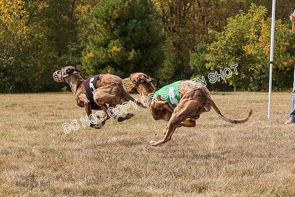 AE4I5830  Joplin, Jigsaw, Rum, Thunder, Maxx, Gibbs