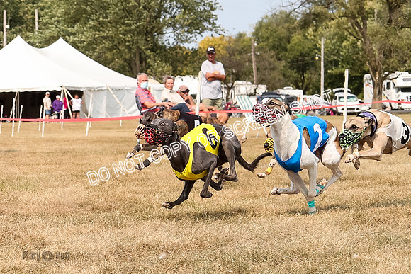 AE4I5818  Joplin, Jigsaw, Rum, Thunder, Maxx, Gibbs