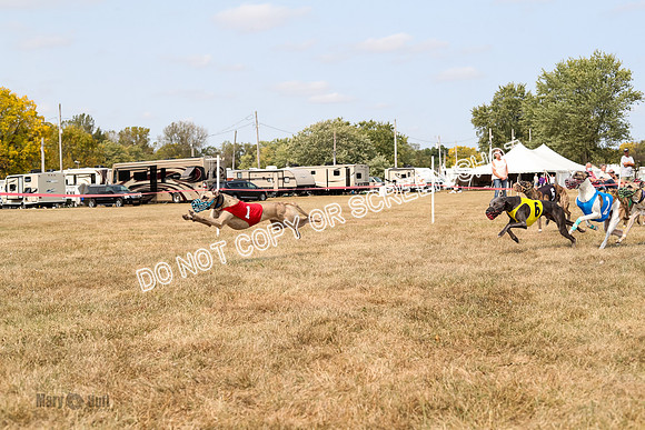AE4I5819  Joplin, Jigsaw, Rum, Thunder, Maxx, Gibbs