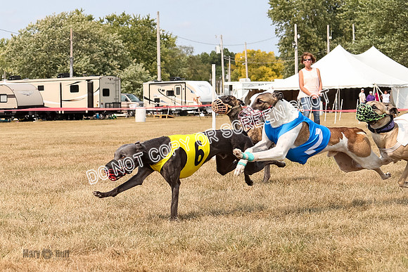 AE4I5820  Joplin, Jigsaw, Rum, Thunder, Maxx, Gibbs