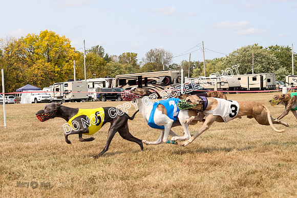 AE4I5822  Joplin, Jigsaw, Rum, Thunder, Maxx, Gibbs