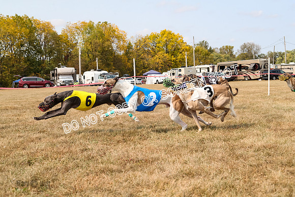 AE4I5823  Joplin, Jigsaw, Rum, Thunder, Maxx, Gibbs