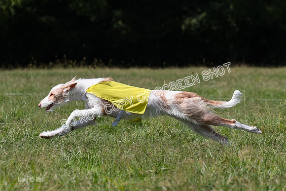 Open Prelim B3, Tavia, Birdie-7952