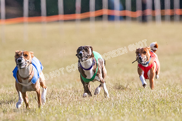 Group A, Prg 1, BA, Race 7-5108