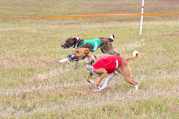 Group A, Prg 3, BA, Race 7-5989