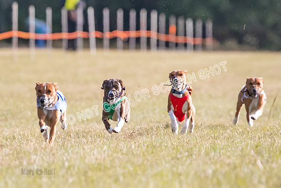 Group A, Prg 1, BA, Race 7-5098