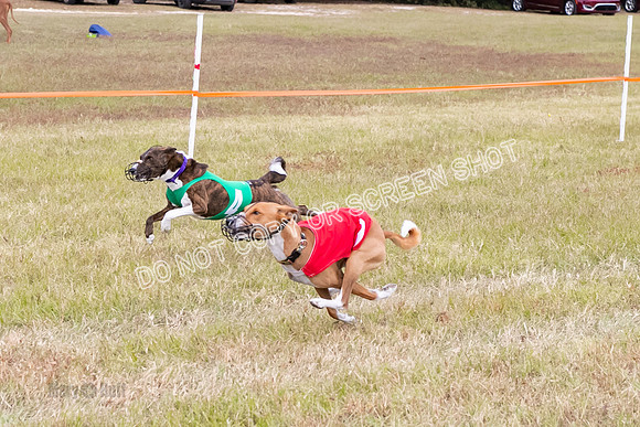 Group A, Prg 3, BA, Race 7-5988