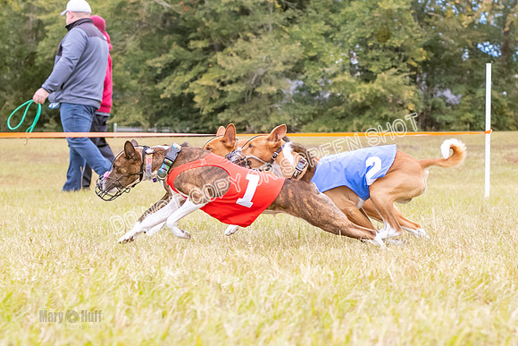 Group A, Prg 2, BA, Race 7-5732