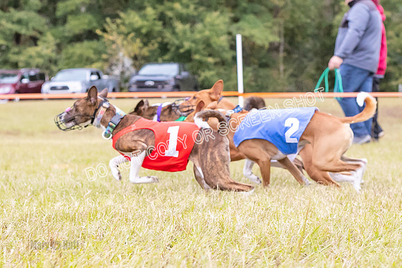 Group A, Prg 2, BA, Race 7-5733