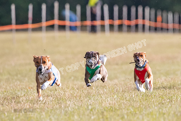 Group A, Prg 1, BA, Race 7-5102