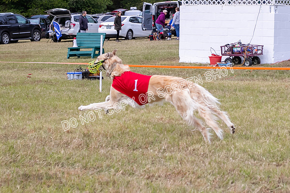 Group A, Prg 3, B, Race 3-5922
