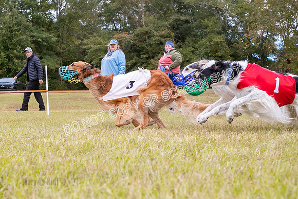 Group A, Prg 2, B, Race 9-5746