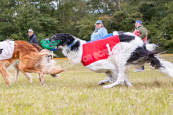 Group A, Prg 2, B, Race 9-5747