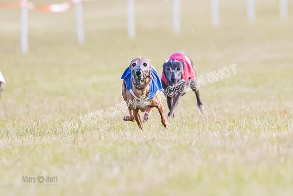 Group A, Prg 1, IG, Race 4-4988