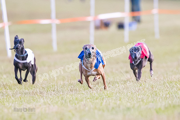 Group A, Prg 1, IG, Race 4-4998
