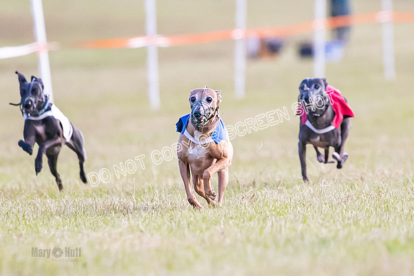 Group A, Prg 1, IG, Race 4-4999
