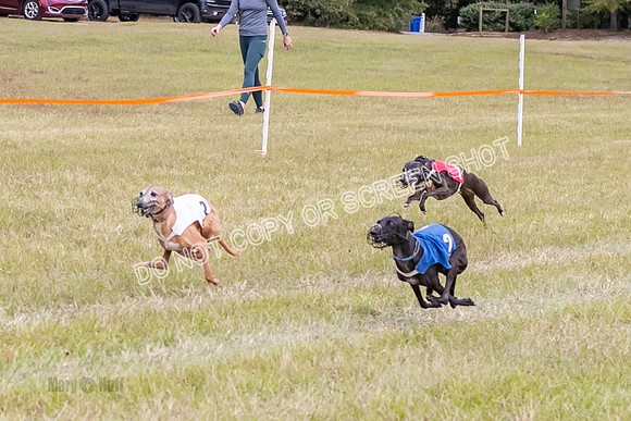 Group A, Prg 3, IG, Race 4-5929