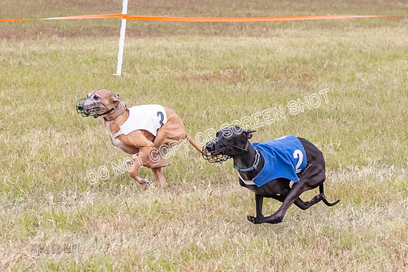 Group A, Prg 3, IG, Race 4-5933