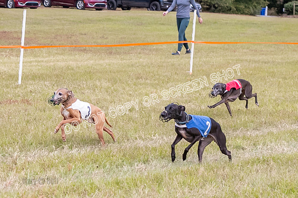 Group A, Prg 3, IG, Race 4-5930