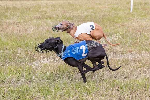 Group A, Prg 3, IG, Race 4-5936