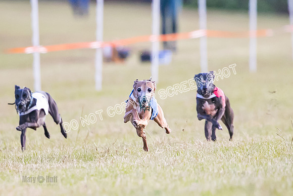 Group A, Prg 1, IG, Race 4-4996