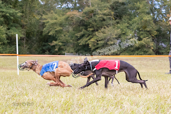 Group A, Prg 2, IG, Race 4-5688