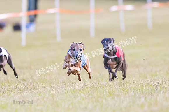 Group A, Prg 1, IG, Race 4-4994