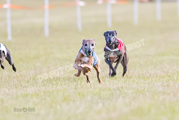 Group A, Prg 1, IG, Race 4-4990