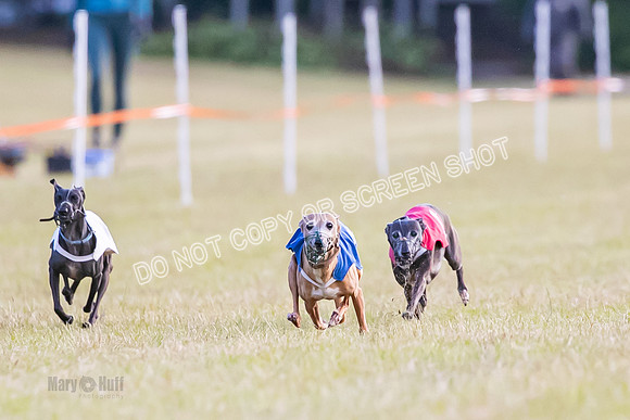 Group A, Prg 1, IG, Race 4-4992