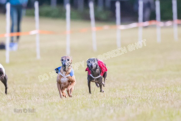 Group A, Prg 1, IG, Race 4-4993