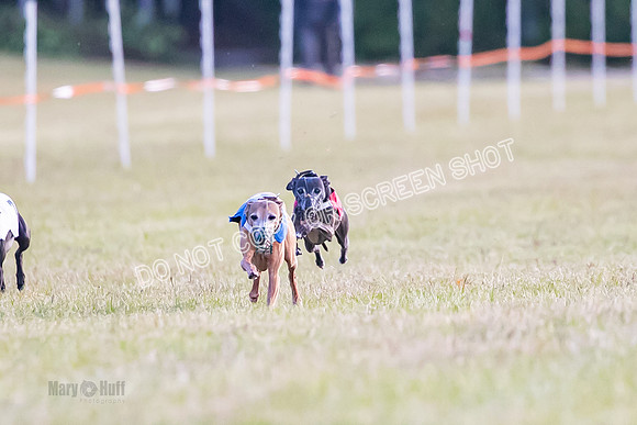 Group A, Prg 1, IG, Race 4-4987
