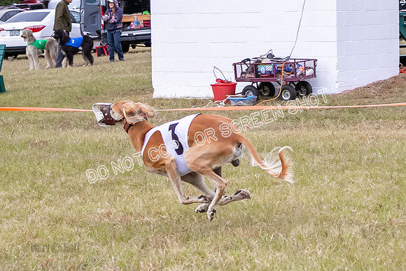 Group A, Prg 3, S, Race 8-6026