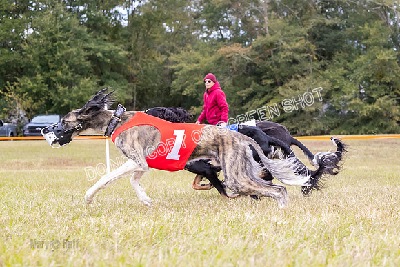 Group A, Prg 2, S, Race 8-5739