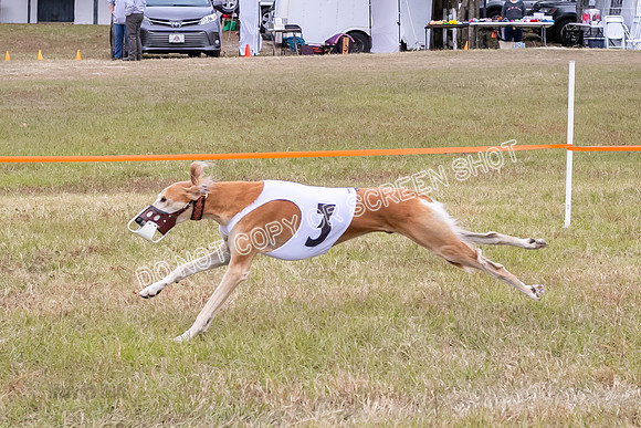 Group A, Prg 3, S, Race 8-6020
