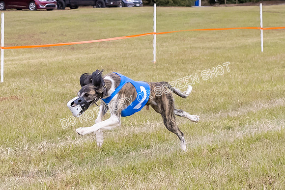 Group A, Prg 3, S, Race 8-6008