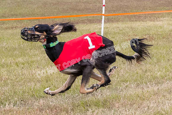 Group A, Prg 3, S, Race 8-6009