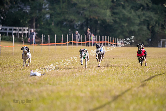 Group A, Prg 1, S, Race 8-5141