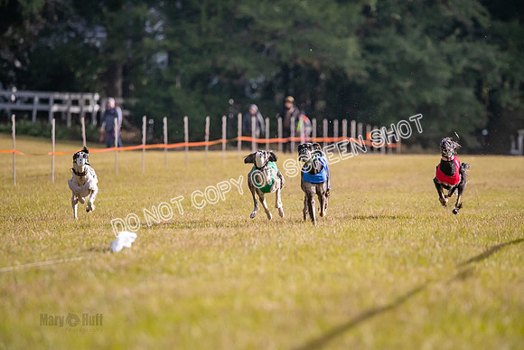 Group A, Prg 1, S, Race 8-5142