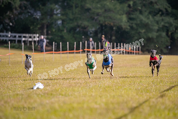 Group A, Prg 1, S, Race 8-5143