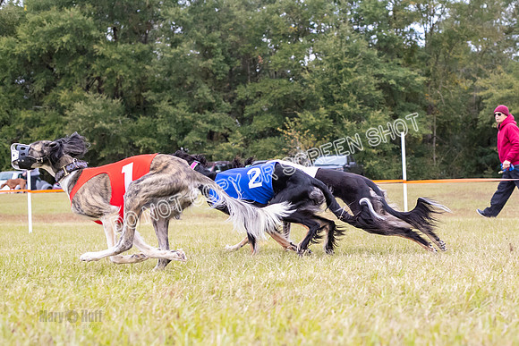 Group A, Prg 2, S, Race 8-5740