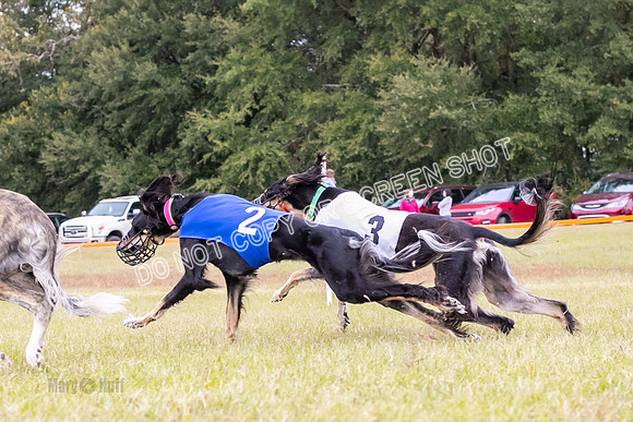 Group A, Prg 2, S, Race 8-5741