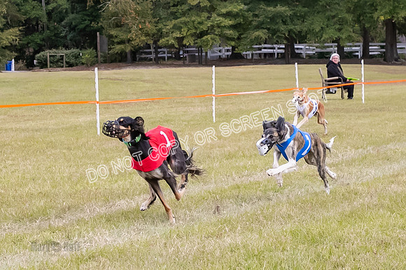 Group A, Prg 3, S, Race 8-6004
