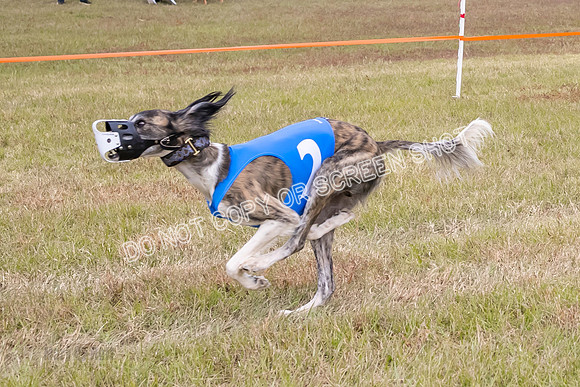 Group A, Prg 3, S, Race 8-6011