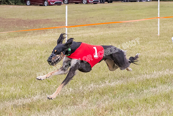 Group A, Prg 3, S, Race 8-6007