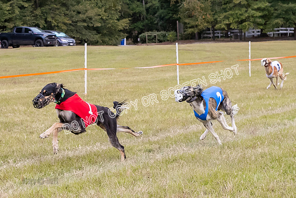 Group A, Prg 3, S, Race 8-6006