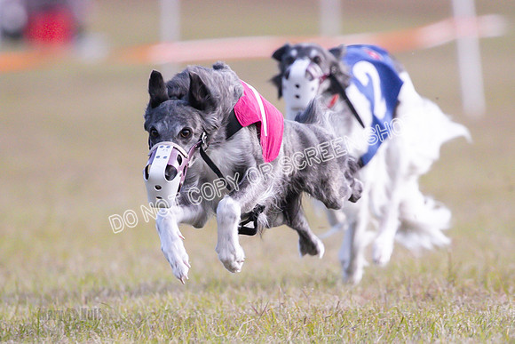 Group A, Prg 1, SW, Race 5-5049