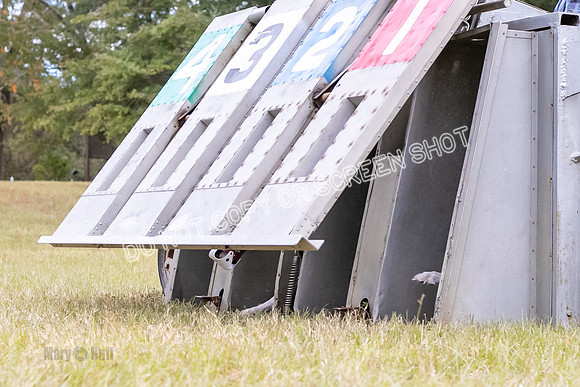 Group A, Prg 2, SW, Race 5-5692